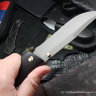Varyag-2 knife (95х18, grab wood)
