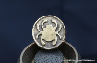 Brass Bead Bug