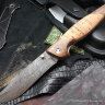 Varyag-2 knife (damascus, birch, wood)