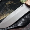 Irbis knife (95х18, wood)