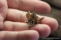 Brass Bead 42.1 Pirate