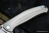 Sander Barbus Flipper