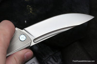 Sander Barbus Flipper