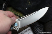 Sander Barbus Flipper