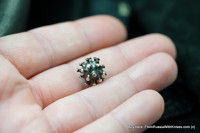 Covid-19 Bead (White Metal)