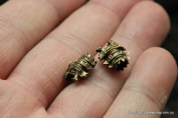 Brass pair of mini-beads Kratos Fist 19.1