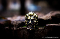El Diablo bronze SB bead