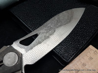 DCPT-3 customized - RELIC1 -