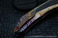 One-off customized Sablya -KNDS-