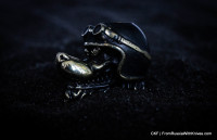 Wolf bronze SB bead