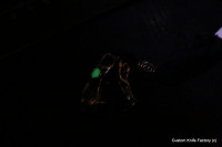 Gorgonopsid Moonglow Custom Bead #4