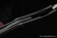 Full Custom Piligrim (January 2019)