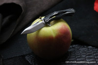 DISCONTINUED - Mini-DCPT1 (M390, Ti, miniature)