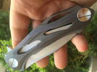 Custom Flipper by Alexey Konygin