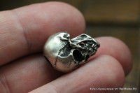 Paracor Bead Doctor Death