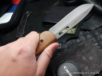 Bars knife (95Х18, wood)
