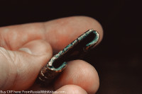 Custom CKF Molle Clip