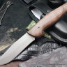 Varyag knife (95Х18, wood)