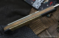 Cheburkov Companion (horn,Ti, ZDI 1016) 