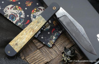 Cheburkov Companion (horn,Ti, ZDI 1016) 