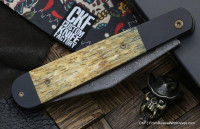 Cheburkov Companion (horn,Ti, ZDI 1016) 